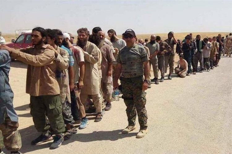سوريا الديمقراطية تعلن استسلام المئات من مسلحي داعش