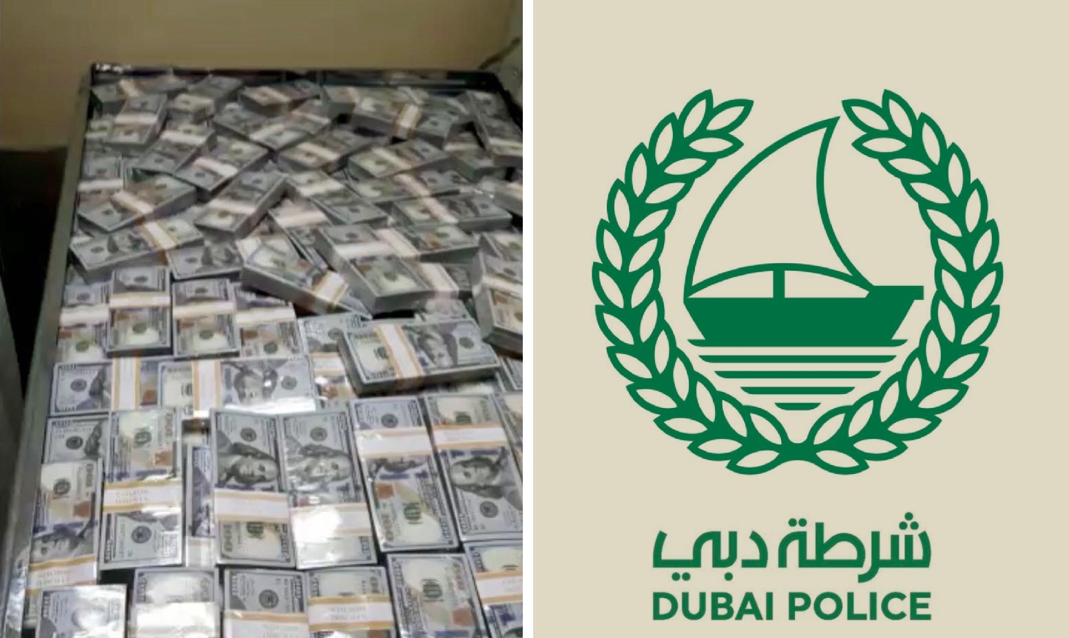 شرطة دبي تكشف حقيقة فيديو الدولارات التي نسبتها صحفية للمالكي