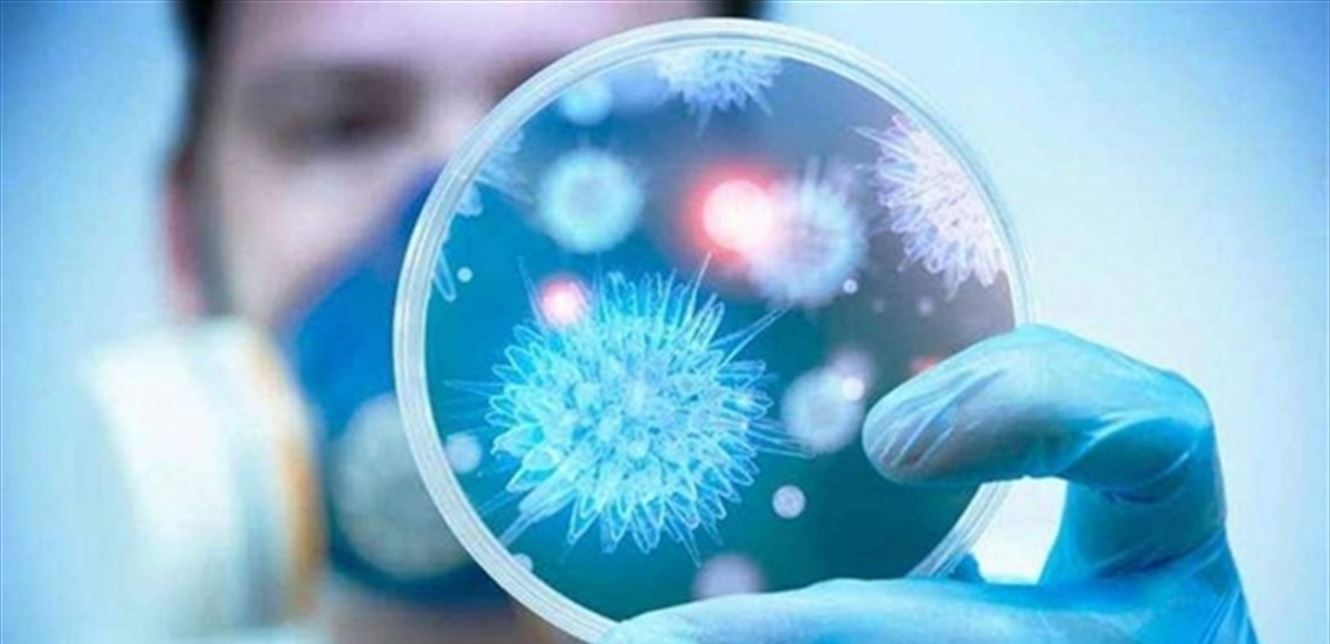 هكذا يؤثر فيروس كورونا على جسم الإنسان