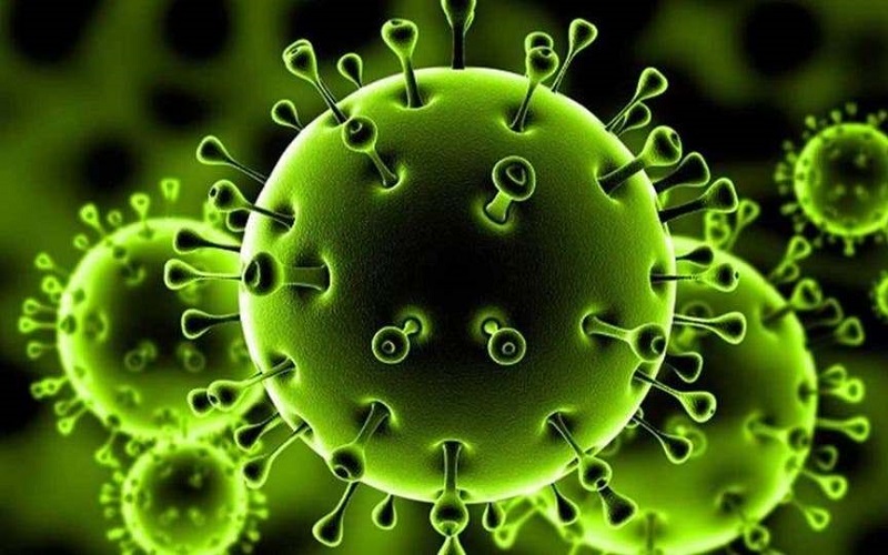 دراسة حديثة تكشف عن سبب ازدياد عدوانية فيروس كورونا