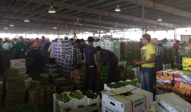 الزراعة توضح بشان اغلاق علوات الخضار والفاكهة خلال العيد