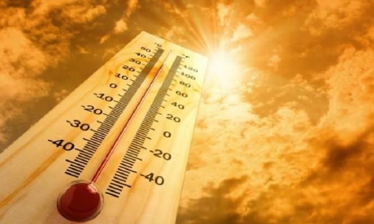 خبراء يحذرون: 204 ملايين شخص سيتعرضون لموجات حر قصوى