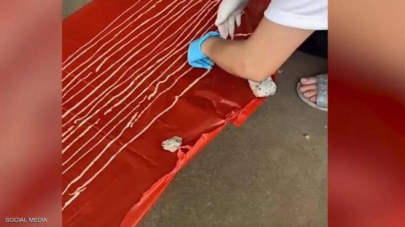 شعر بالام بالبطن.. فكانت المفاجأة دودة هائلة طولها بالأمتار
