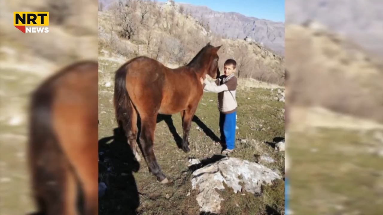 چیرۆکی مێردمنداڵێک کە ئەسپەکەی کوشتی