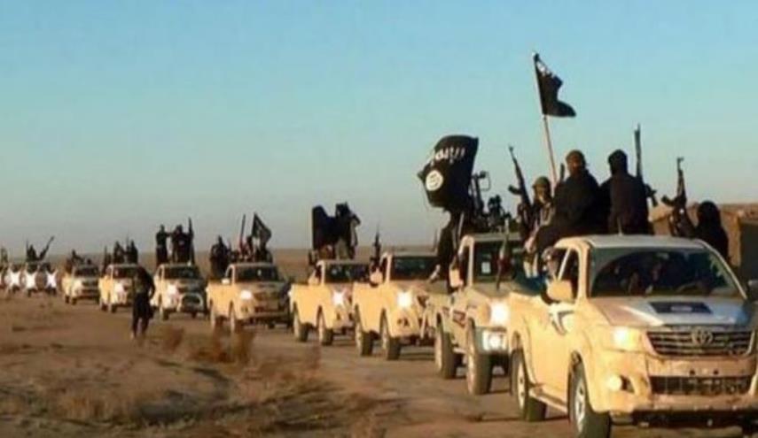 تقرير: أعداد مقاتلي داعش في سوريا أكبر من تقديرات البنتاغون